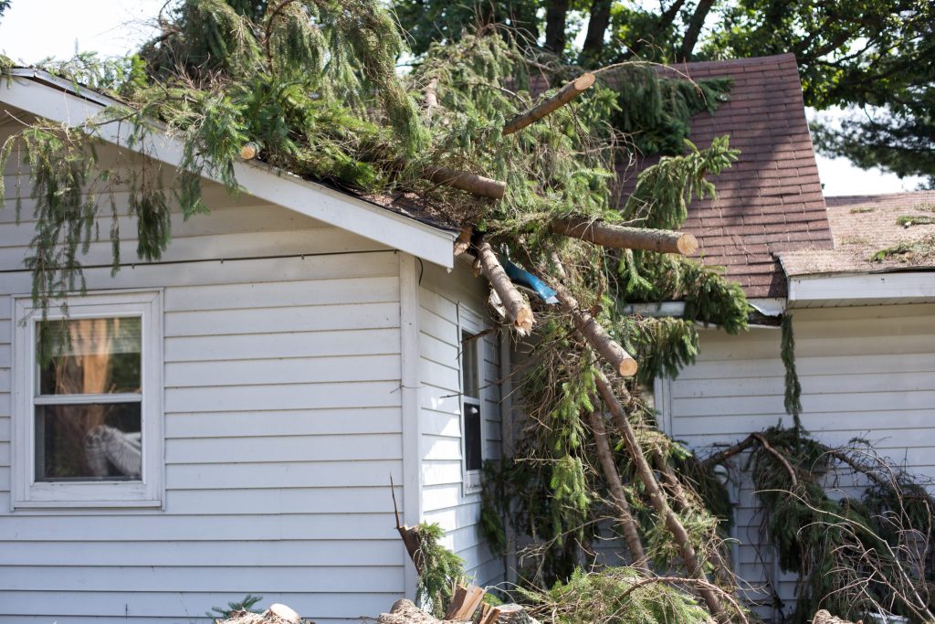 Tree branches hanging off the roof of a house, causing visible damage to the structure and the gutter, surrounded by scattered green foliage.