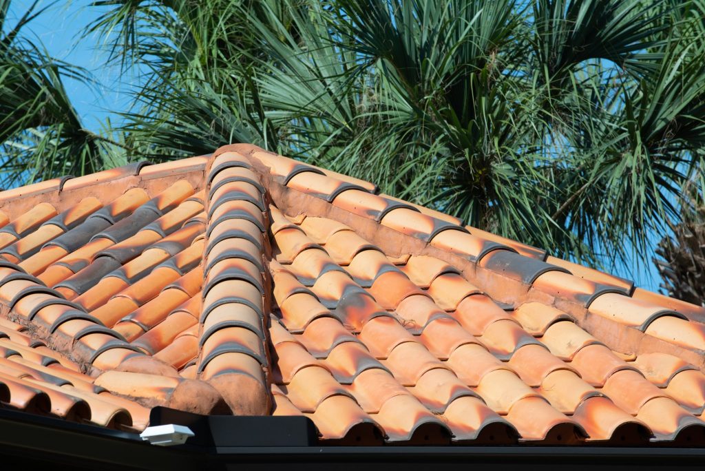 Close-up view of a terracotta tiled roof with an angular design framed by tropical palms against a clear blue sky.