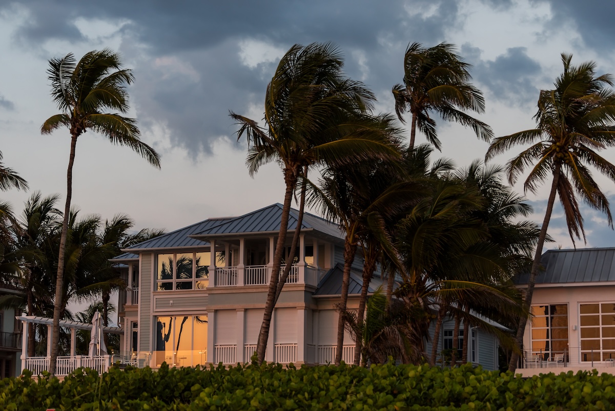  Coastal house with large windows and palm trees, swaying in the wind, under a cloudy sky.